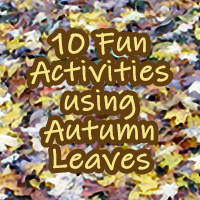 10 Fun Activities using Autumn Leaves