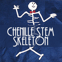 Chenille Stem Skeleton