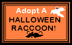 an adoption certificate for the previous witch raccoon